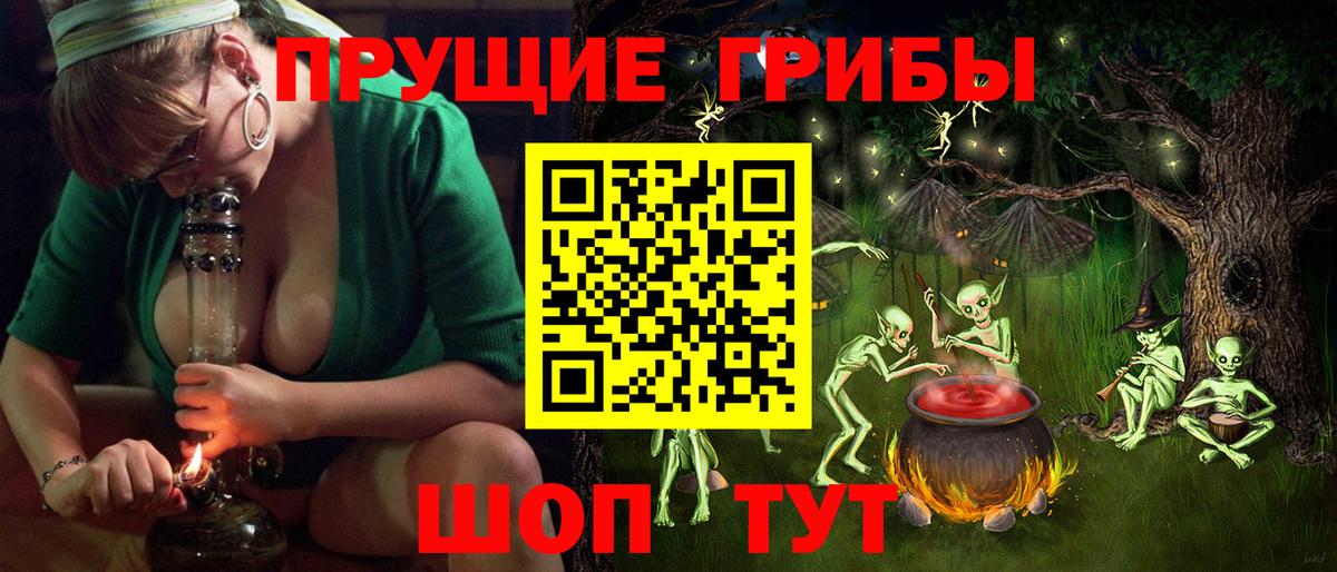 Галлюциногенные грибы прущие грибы  Псилоцибиновые грибы Psilocybe  Ачхой-Мартан  Вход с VPN 