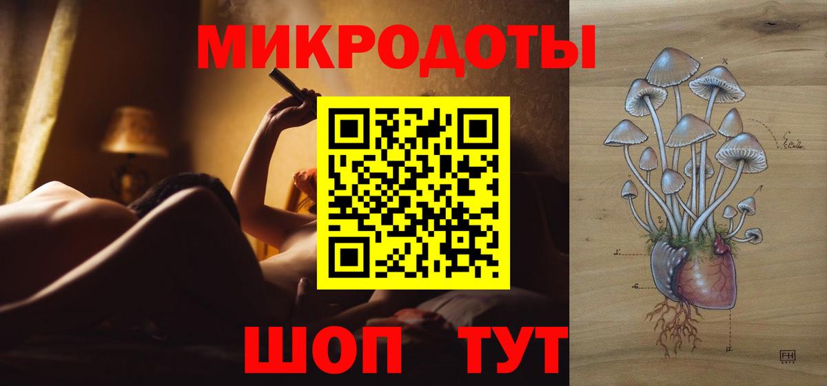 Галлюциногенные грибы Psilocybe Ачхой-Мартан